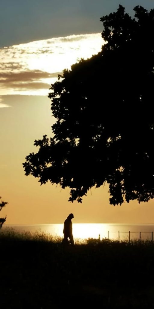 na-gemisei-agapi-h-kardia