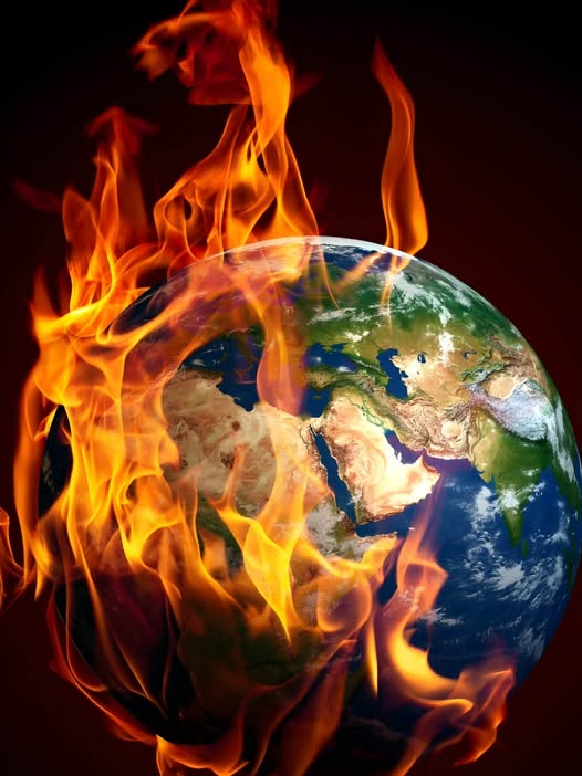 mataiotita-tis-epigeiou-zois