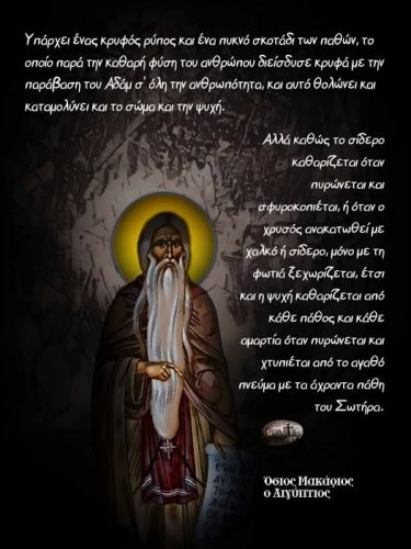 Όσιος Μακάριος ο Αιγύπτιος
